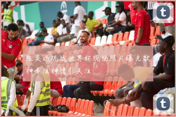 陈奕迅观战世界杯现场照片曝光歌神专注神情引关注