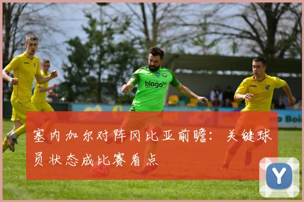 塞内加尔对阵冈比亚前瞻：关键球员状态成比赛看点