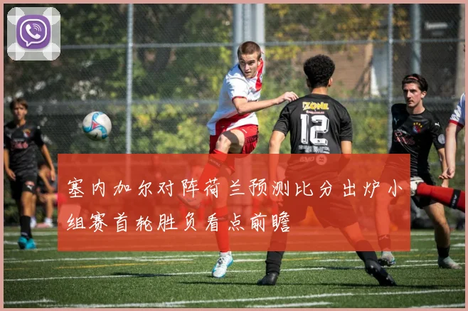 塞内加尔对阵荷兰预测比分出炉小组赛首轮胜负看点前瞻